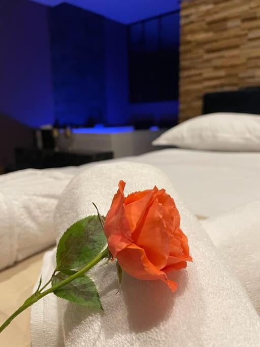 Le Cocon Des Granges - Suite Sauna Jaccuzi Spa Bonnieres-sur-Seine Exterior foto